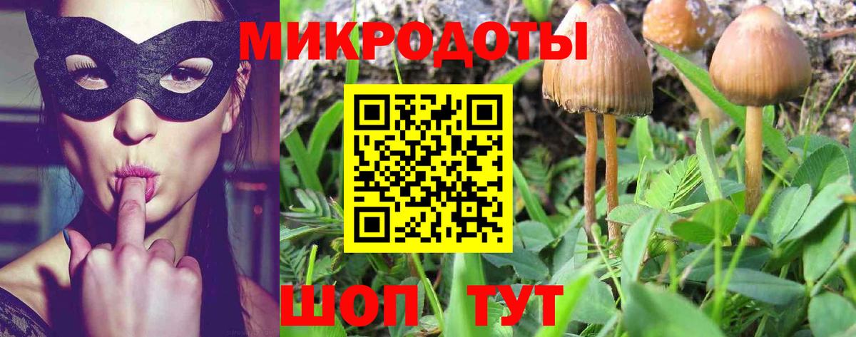 Псилоцибиновые грибы ЛСД Мытищи