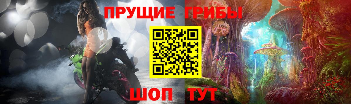 Мытищи  Псилоцибиновые грибы прущие грибы  Вход с VPN 
